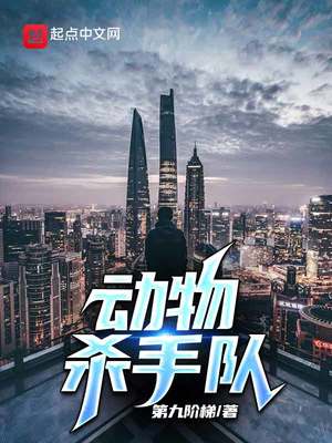 完美伴侣电视剧在线看